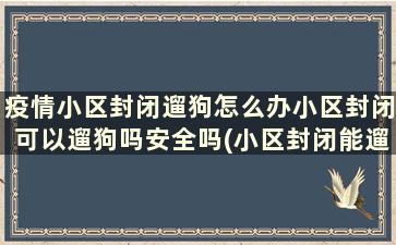 疫情小区封闭遛狗怎么办小区封闭可以遛狗吗安全吗(小区封闭能遛狗吗)