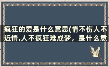 疯狂的爱是什么意思(情不伤人不近情,人不疯狂难成梦，是什么意思)