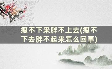 瘦不下来胖不上去(瘦不下去胖不起来怎么回事)