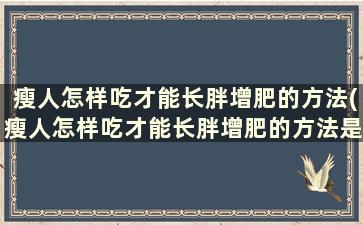 瘦人怎样吃才能长胖增肥的方法(瘦人怎样吃才能长胖增肥的方法是什么)