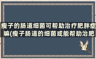 瘦子的肠道细菌可帮助治疗肥胖症嘛(瘦子肠道的细菌或能帮助治肥胖症)