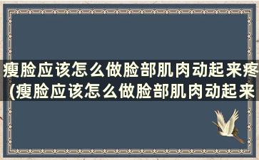 瘦脸应该怎么做脸部肌肉动起来疼(瘦脸应该怎么做脸部肌肉动起来就疼)