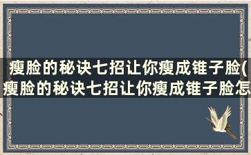 瘦脸的秘诀七招让你瘦成锥子脸(瘦脸的秘诀七招让你瘦成锥子脸怎么办)