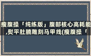 瘦腹操「纯练版」腹部核心高耗能,熨平肚腩雕刻马甲线(瘦腹操「纯练版」腹部核心高耗能,熨平肚腩雕刻马甲线)