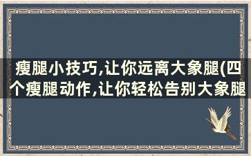 瘦腿小技巧,让你远离大象腿(四个瘦腿动作,让你轻松告别大象腿)