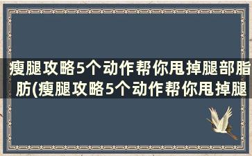 瘦腿攻略5个动作帮你甩掉腿部脂肪(瘦腿攻略5个动作帮你甩掉腿部脂肪怎么做)