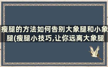 瘦腿的方法如何告别大象腿和小象腿(瘦腿小技巧,让你远离大象腿)