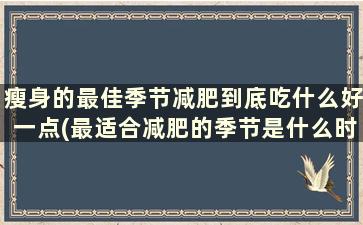 瘦身的最佳季节减肥到底吃什么好一点(最适合减肥的季节是什么时候)