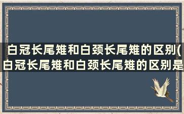 白冠长尾雉和白颈长尾雉的区别(白冠长尾雉和白颈长尾雉的区别是什么)