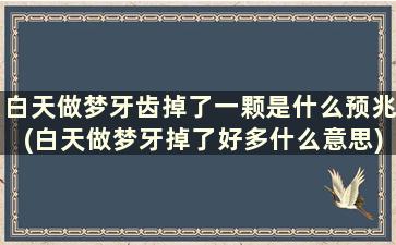 白天做梦牙齿掉了一颗是什么预兆(白天做梦牙掉了好多什么意思)