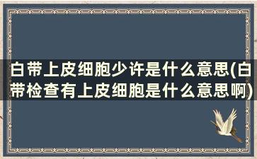 白带上皮细胞少许是什么意思(白带检查有上皮细胞是什么意思啊)