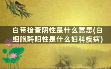 白带检查阴性是什么意思(白细胞酶阳性是什么妇科疾病)