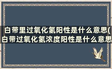 白带里过氧化氢阳性是什么意思(白带过氧化氢浓度阳性是什么意思)