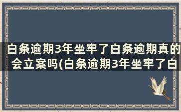 白条逾期3年坐牢了白条逾期真的会立案吗(白条逾期3年坐牢了白条逾期真的会立案吗怎么办)