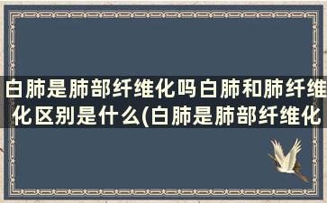 白肺是肺部纤维化吗白肺和肺纤维化区别是什么(白肺是肺部纤维化吗白肺和肺纤维化区别在哪)