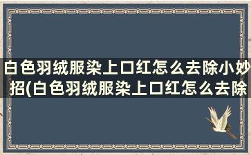 白色羽绒服染上口红怎么去除小妙招(白色羽绒服染上口红怎么去除呢)