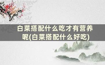 白菜搭配什么吃才有营养呢(白菜搭配什么好吃)