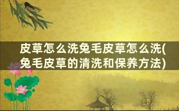 皮草怎么洗兔毛皮草怎么洗(兔毛皮草的清洗和保养方法)