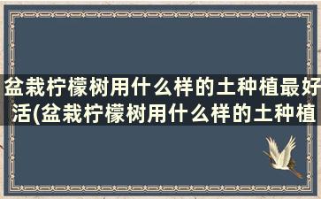 盆栽柠檬树用什么样的土种植最好活(盆栽柠檬树用什么样的土种植最好看)