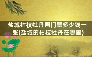 盐城枯枝牡丹园门票多少钱一张(盐城的枯枝牡丹在哪里)