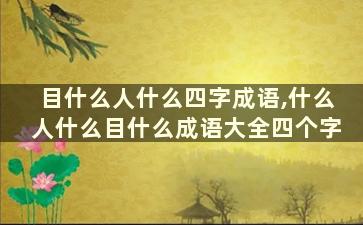 目什么人什么四字成语,什么人什么目什么成语大全四个字