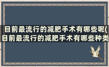 目前最流行的减肥手术有哪些呢(目前最流行的减肥手术有哪些种类)