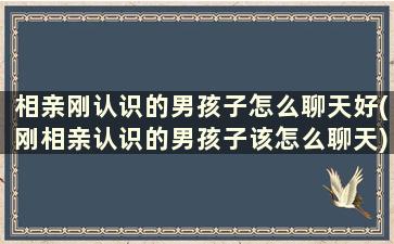 相亲刚认识的男孩子怎么聊天好(刚相亲认识的男孩子该怎么聊天)