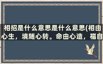 相招是什么意思是什么意思(相由心生，境随心转。命由心造，福自我召。是什么意思)