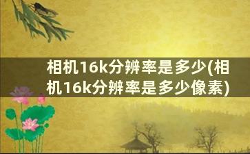 相机16k分辨率是多少(相机16k分辨率是多少像素)