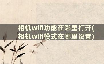 相机wifi功能在哪里打开(相机wifi模式在哪里设置)