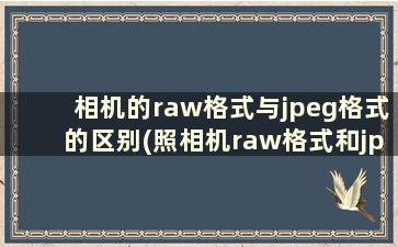 相机的raw格式与jpeg格式的区别(照相机raw格式和jpeg)