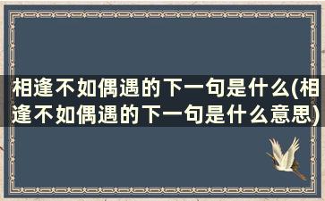 相逢不如偶遇的下一句是什么(相逢不如偶遇的下一句是什么意思)