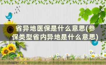 省异地医保是什么意思(参保类型省内异地是什么意思)