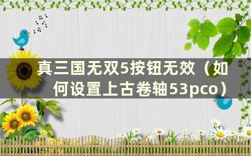 真三国无双5按钮无效（如何设置上古卷轴53pco）