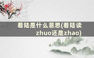 着陆是什么意思(着陆读zhuo还是zhao)