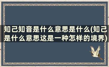 知己知音是什么意思是什么(知己是什么意思这是一种怎样的境界)