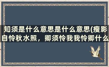 知须是什么意思是什么意思(瘦影自怜秋水照，卿须怜我我怜卿什么意思)