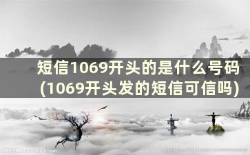 短信1069开头的是什么号码(1069开头发的短信可信吗)