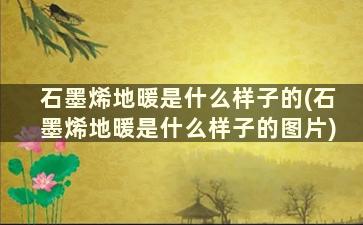 石墨烯地暖是什么样子的(石墨烯地暖是什么样子的图片)