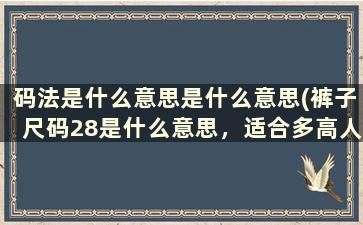 码法是什么意思是什么意思(裤子尺码28是什么意思，适合多高人的穿)