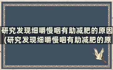 研究发现细嚼慢咽有助减肥的原因(研究发现细嚼慢咽有助减肥的原理)