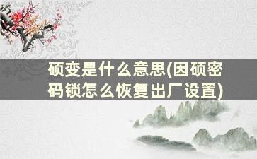 硕变是什么意思(因硕密码锁怎么恢复出厂设置)