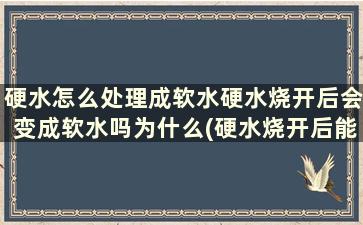 硬水怎么处理成软水硬水烧开后会变成软水吗为什么(硬水烧开后能变成软水吗)