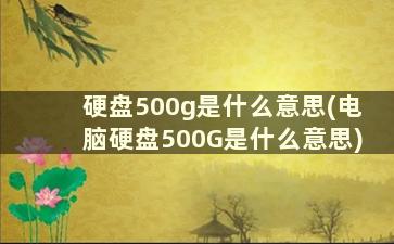 硬盘500g是什么意思(电脑硬盘500G是什么意思)