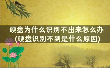 硬盘为什么识别不出来怎么办(硬盘识别不到是什么原因)