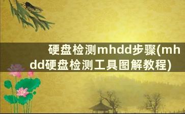 硬盘检测mhdd步骤(mhdd硬盘检测工具图解教程)