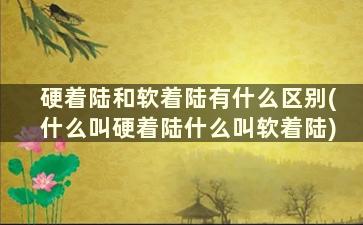 硬着陆和软着陆有什么区别(什么叫硬着陆什么叫软着陆)