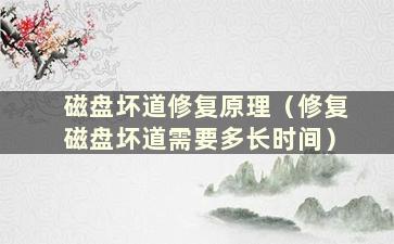 磁盘坏道修复原理（修复磁盘坏道需要多长时间）