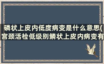 磷状上皮内低度病变是什么意思(宫颈活检低级别鳞状上皮内病变有什么问题吗)