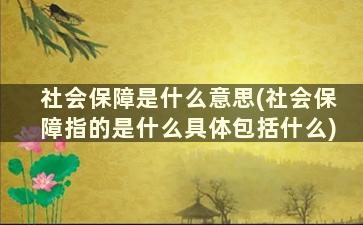 社会保障是什么意思(社会保障指的是什么具体包括什么)